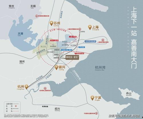 岳阳头条最新爆料热线,最新热点事件追踪  第2张