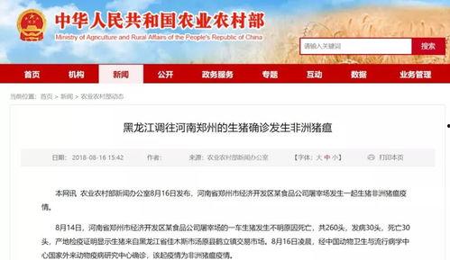 连云港同城爆料最新消息,突发事件引发关注，详情即将揭晓！