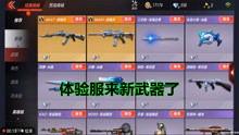 最新测试服爆料,揭秘即将到来的游戏版本重大更新内容